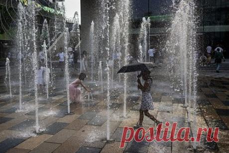 На Земле зафиксировали самый жаркий день в истории. В минувший понедельник, 3 июля, на Земле зафиксировали самый жаркий день в истории. В университете штата Мэн подсчитали, что среднесуточная температура в мире 3 июля составила 17,01 градуса Цельсия — полученный показатель впервые за 44 года наблюдений превысил отметку в 17 градусов Цельсия.