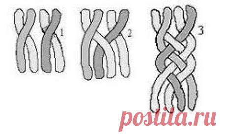 коса в b4 пряди - Поиск в Google