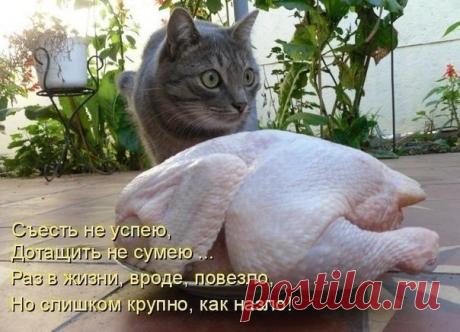 Креатив (стр. 1628) → LOL24.ee — самый смешной сайт!