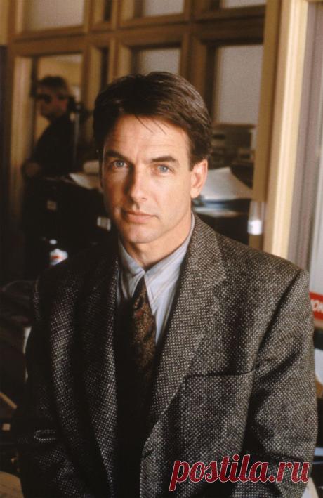 Марк Хэрмон (Mark Harmon)
- 2 сентября, 1951