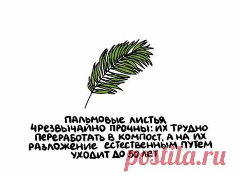 (47) Интересные и короткие факты на все случаи жизни - ☺Ха-Ха.РУ - с юмором по жизни - 20 апреля - 43616044151 - Медиаплатформа МирТесен