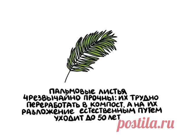 (47) Интересные и короткие факты на все случаи жизни - ☺Ха-Ха.РУ - с юмором по жизни - 20 апреля - 43616044151 - Медиаплатформа МирТесен