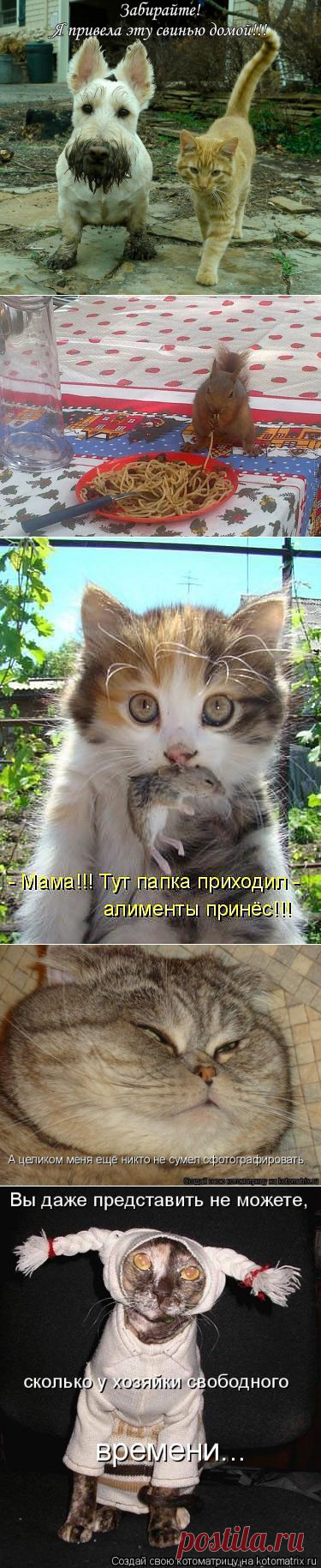 Прикольные картинки | Самоцветик