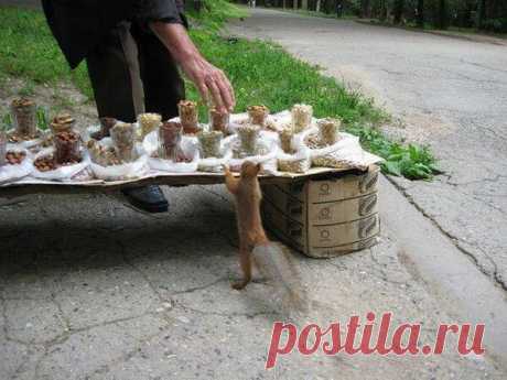 Кладовка