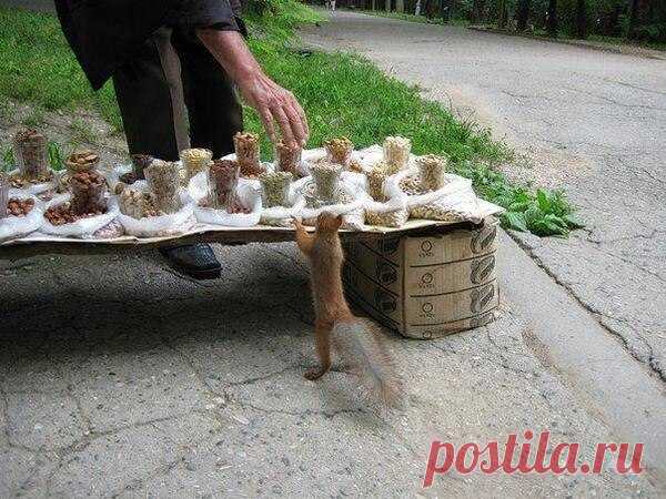 Кладовка