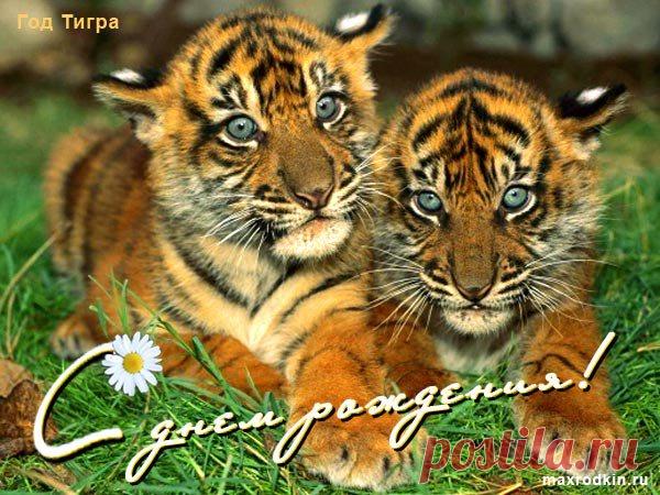 Открытки по гороскопу с днем рождения — Я — женщина! Люблю и верю