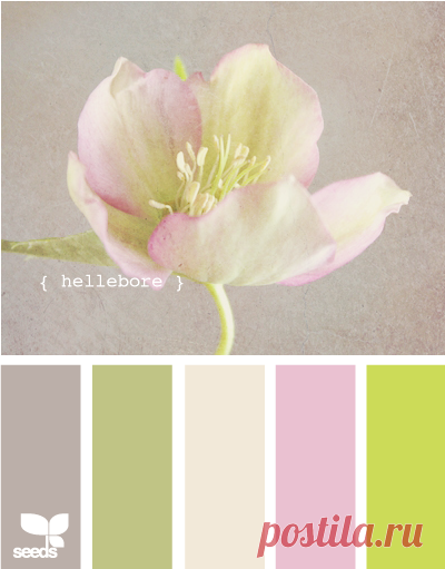 Цветы, деревья — источник вдохновения! | BepHuK собирает друзей