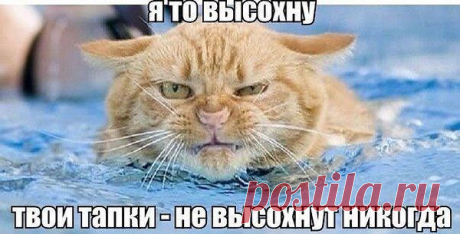 АНДРЕЙ: БЕСЁНОК