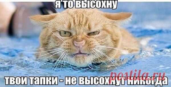 АНДРЕЙ: БЕСЁНОК