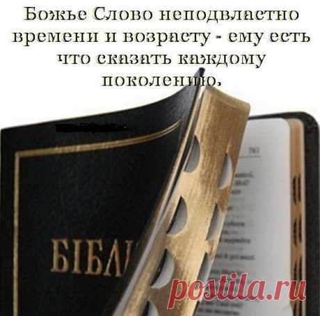 Оно сказало Вам что-нибудь?