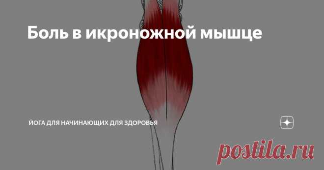 Боль в икроножной мышце Статья автора «Йога для начинающих для здоровья» в Дзене ✍:   Интенсивная или ноющая боль в икроножной мышце зачастую обусловлена формированием триггерных точек – локальных зон повышенного напряжения