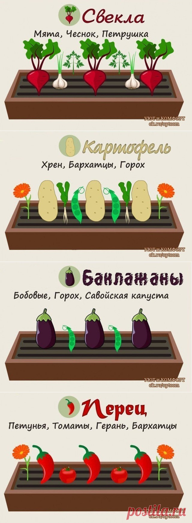 (95) Одноклассники