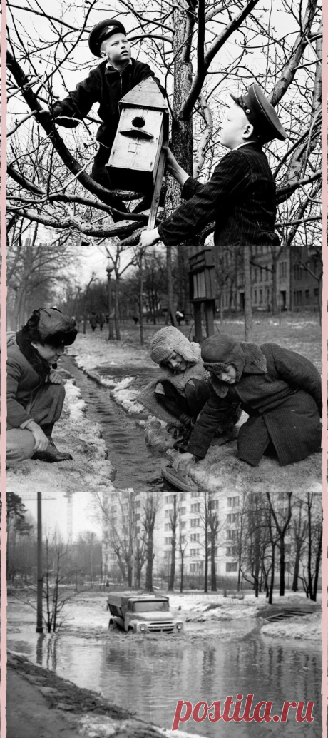 Весна в СССР. Так всегда ей радовались. Это обновление не только природы, но и жизни. Посмотрите, какие на снимках люди, открытые лица. | СССР - как это было | Яндекс Дзен