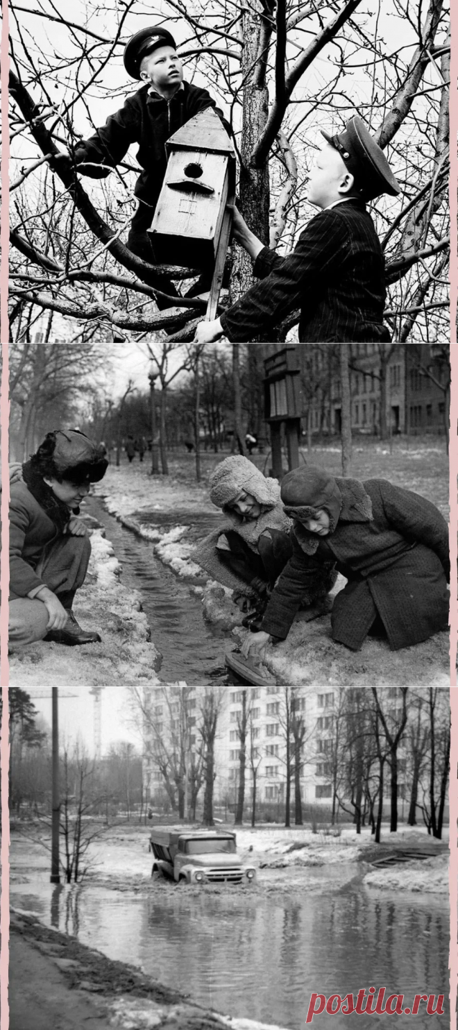 Весна в СССР. Так всегда ей радовались. Это обновление не только природы, но и жизни. Посмотрите, какие на снимках люди, открытые лица. | СССР - как это было | Яндекс Дзен