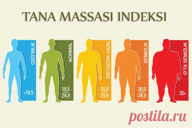 ТАНА ОҒИРЛИГИ  ИНДЕКСИ  НИМА?