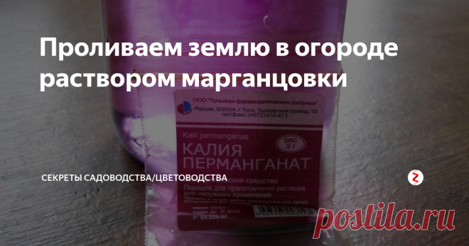 Проливаем землю в огороде раствором марганцовки Полезные свойства вещества пригодятся на участке. 