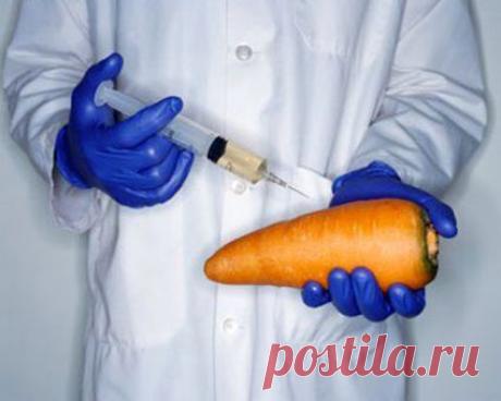 ВНИМАНИЕ!    БЕСПЛОДИЕ ОТ ГМО ДОКАЗАНО!