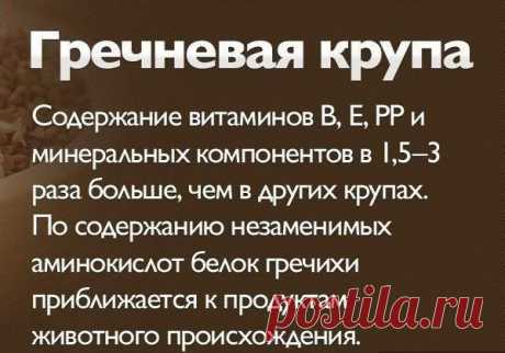Светлана Воронка