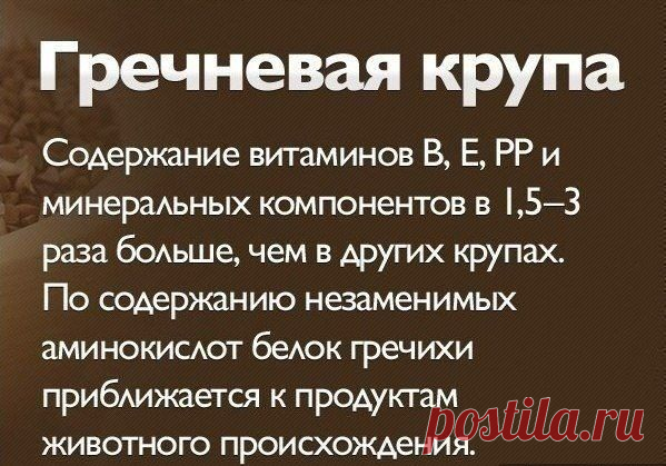 Светлана Воронка