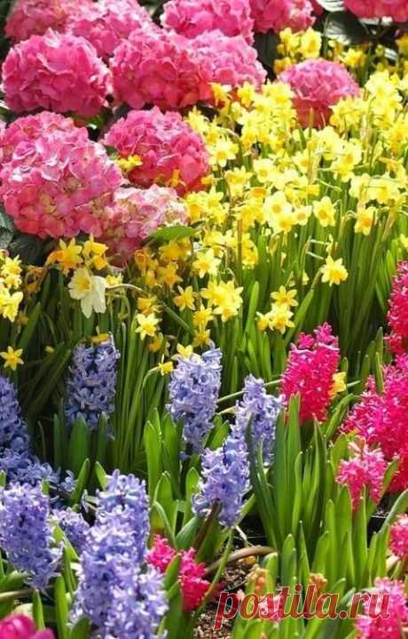 Simply Awesome | FLOWERS