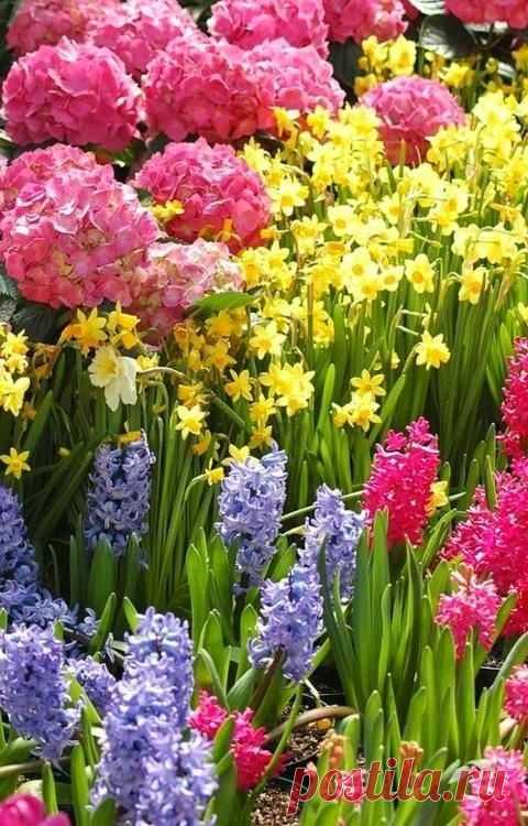 Simply Awesome | FLOWERS