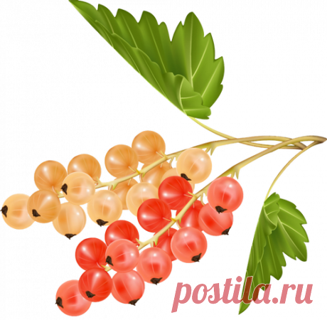 Клипарт Ягоды.