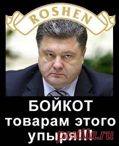 Фотографии Хроники - Александр Ревдос