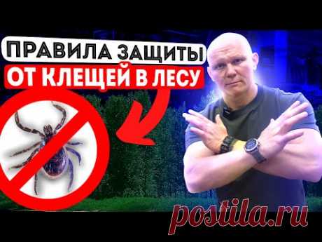 Сделай это и клещ никогда не укусит! Правила для похода в лес от Эда Халилова