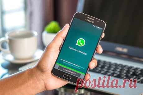 Как узнать, что в твой WhatsApp вошел другой человек и видит все переписки | Техносовет | Яндекс Дзен