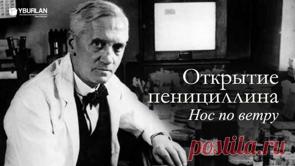 Открытие пенициллина и… история из детства Александра Флеминга…Не так давно весь Интернет цитировал трогательный рассказ. Однако после лекций по системно-векторной психологии именно эта "История о доброте" (как ее позиционируют сайты позитивных новостей) заставила меня углубиться в изучение персонажей и собственно источника вопроса.