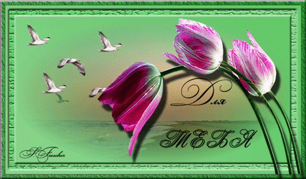 С ДНЁМ РОЖДЕНИЯ Для тебя