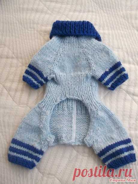 Pullover und Overalls für Hunde - #für #hunde #overalls #pullover #und