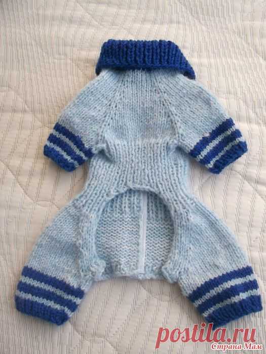 Pullover und Overalls für Hunde - #für #hunde #overalls #pullover #und