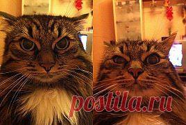 (13) Одноклассники