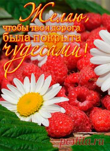 Пусть день пройдет удачно, пусть всё получится. Радуйся даже мелочам. Желаю хорошего настроения!