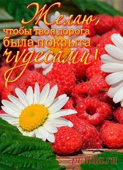 Пусть день пройдет удачно, пусть всё получится. Радуйся даже мелочам. Желаю хорошего настроения!