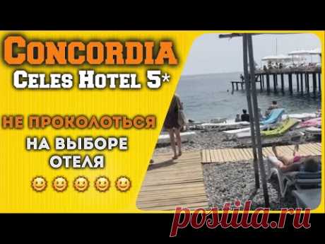 Concordia Celes Hotel 5* - новый обзор - номер - пляж - питание - инфраструктура... - YouTube