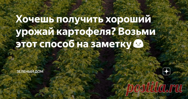 Хочешь получить хороший урожай картофеля? Возьми этот способ на заметку😉 Картофель теплолюбивая культура, предпочитает рыхлую и пушистую землю. На хороший урожай влияет: место расположения грядки; состав почвы; температура почвы; качество посадочного материала; плотность посадки, севооборот. Осенью для картофеля приготовить грядку (не в низине): выбрать открытое место, внести перегной, навоз, золу и перекопать. За зиму почва впитает влагу и осядет. Весной каждый день важе...