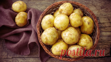 25 рецептов из картофеля(и на праздник, и на каждый день). Полюбите картофель заново! | Вилка. Ложка. Палочки: рецепты и советы | Дзен
