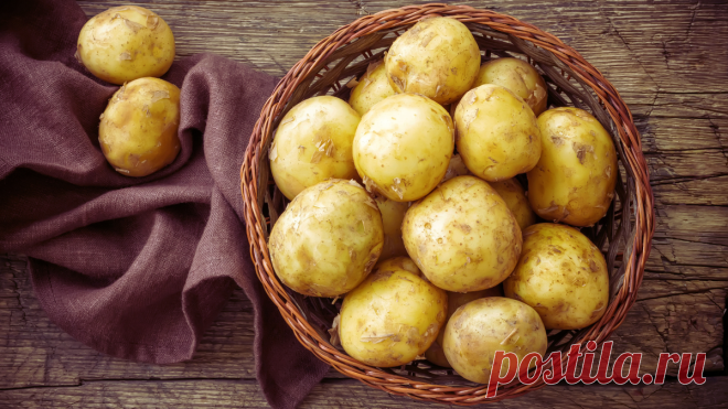 25 рецептов из картофеля(и на праздник, и на каждый день). Полюбите картофель заново! | Вилка. Ложка. Палочки: рецепты и советы | Дзен