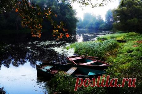 Фотоподборка летних пейзажей!