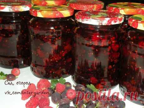 Варенье из крыжовника и малины