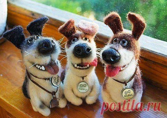 Милые песики, сухое валяние