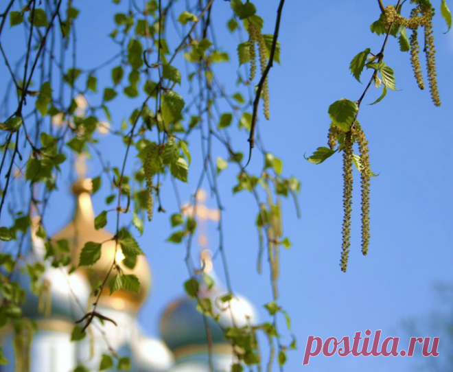 Что можно и что НЕЛЬЗЯ делать на Троицу Троица — один из самых почитаемых и любимых в народе праздников. Если правильно провести этот день, можно привлечь в свою жизнь удачу и благополучие....