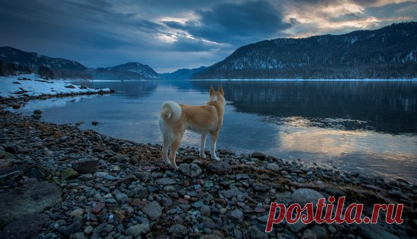 «Встречая рассвет». Телецкое озеро, Алтай. Автор фото — Александр Савченко: nat-geo.ru/photo/user/17570/