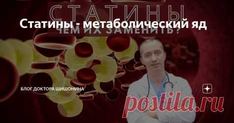 Статины - метаболический яд Статья автора «Блог Доктора Шишонина» в Дзене ✍: Что такое статины? Можно ли их отменить и чем заменить?