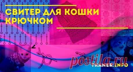 Свитер для кошки крючком: выбор пряжи и цвета. Советы, как приучить кошку к одежде. Инструкция по вязанию крючком свитера: красный свитер для кота и элегантная модель для кошечки.