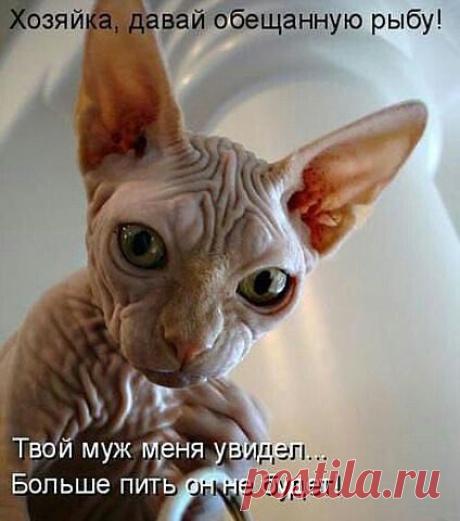 Лена Кузнецова – Google+
