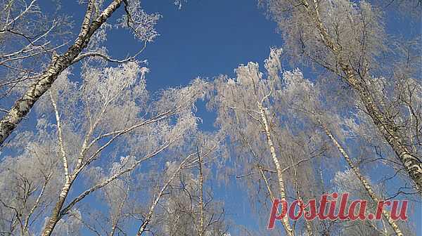 Погода@Mail.Ru: Фото погодных явлений: ПОДМОСКОВЬЕ