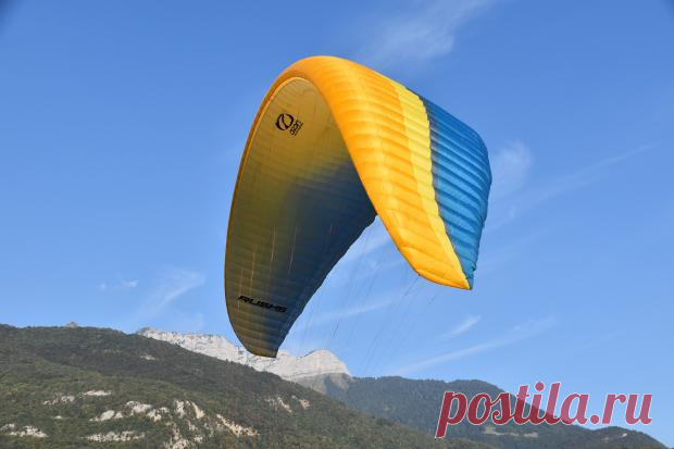 Полёт собаки на параплане сняли на видео отдыхающие на пляже в Сиднее